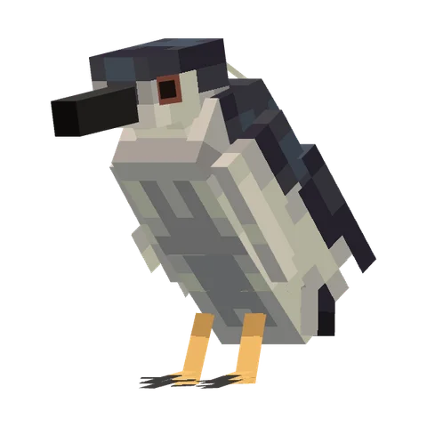 The mod's black-crowned night heron